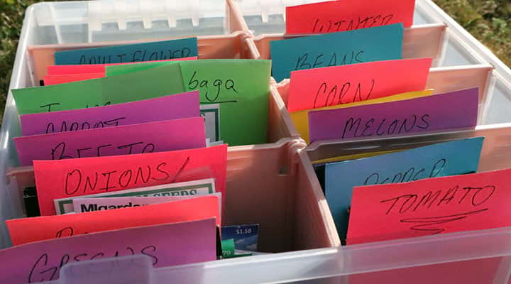 closeup of seed packets in storage  bin